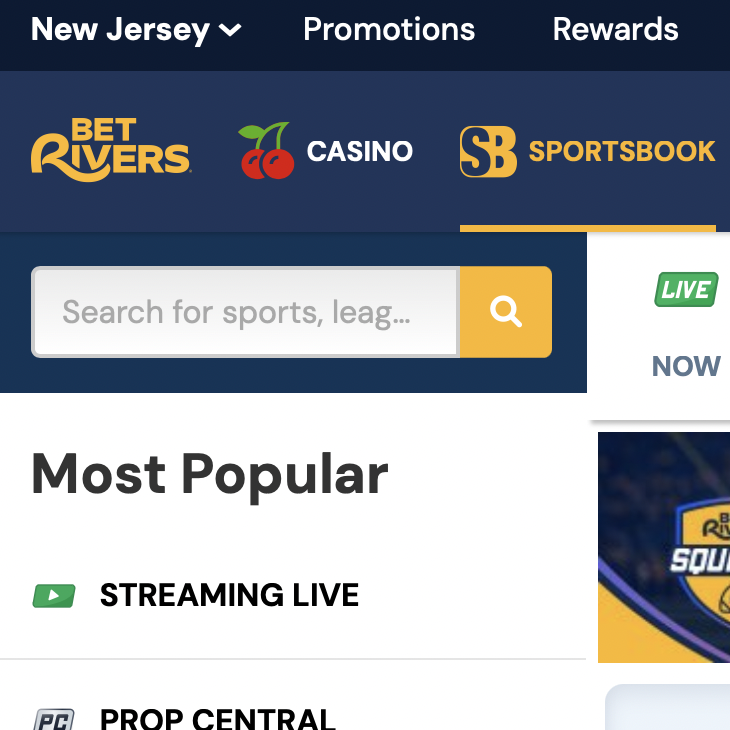 Betrivers Online SportsBook